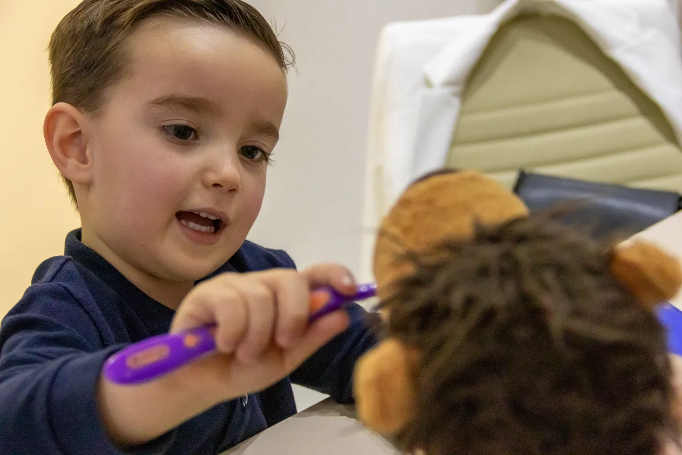 Criança escovando os dentes de uma pelúcia